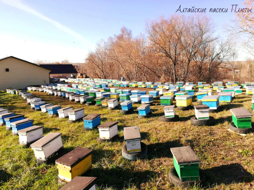 алтайский мёд и др-е пр-ы пч-ва 2020 г. в Бийске 6