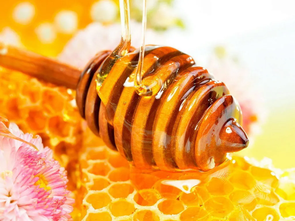 мед пчелиный
