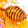 мед пчелиный