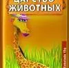 шоколад молочный и конфеты в коробках в Республике Беларусь 4