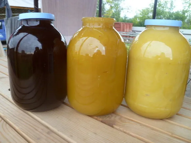 мёд со своей пасеки от 70 руб. кг. в Бузулуке 2