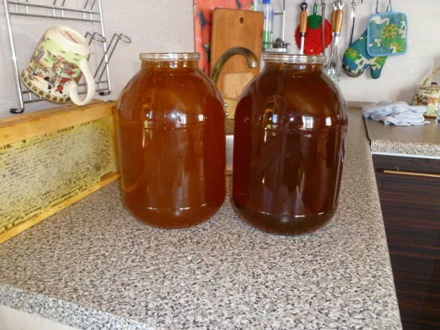 мёд со своей пасеки от 70 руб. кг. в Бузулуке