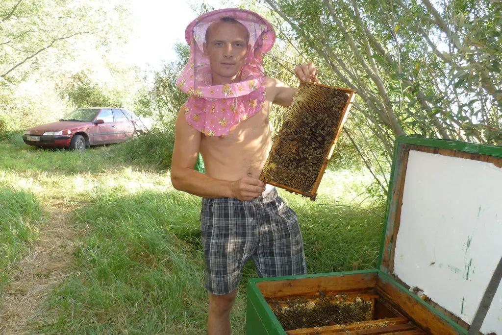 натуральный мёд. в Домодедово