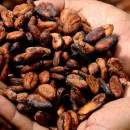 Cargill завершил модернизацию завода по переработке какао в Кот-д'Ивуар