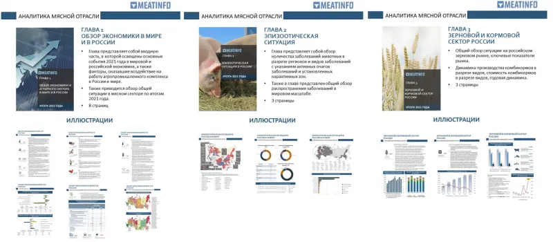 Meatinfo.ru представляет исследование рынков скота и мяса в России и в мире по итогам 2021 года