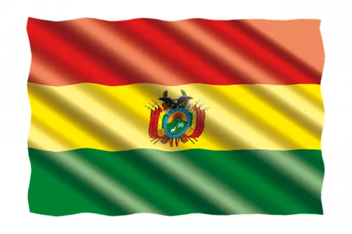 Боливия: 20 лет роста свиноводства