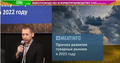 Meatinfo прогнозирует рост мясного производства по итогам 2022 года