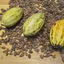 Бразилия занимает 6-е место в мире по производству какао