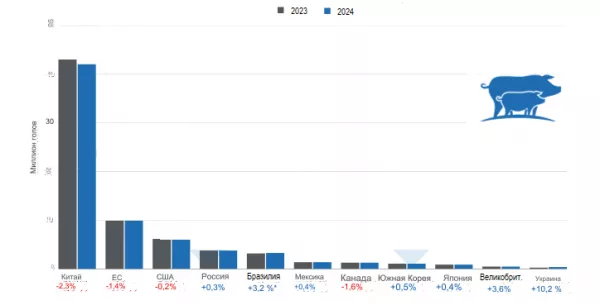 Мировое производство свиней: поголовье свиноматок в 2024 году – ведущие производители