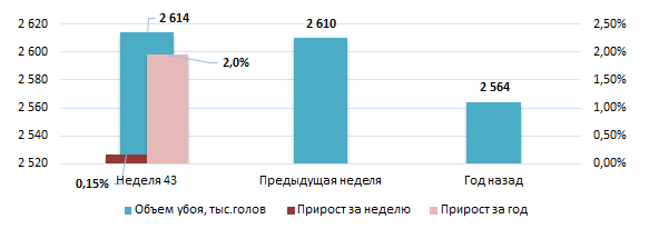 США: Обзор рынка свиней за 43 неделю от 30 окт 2023 года
