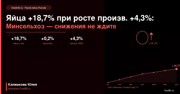 Яйца +0,2% третью неделю подряд: Минсельхоз предупреждает — снижения цен в 2026 году не ожидается