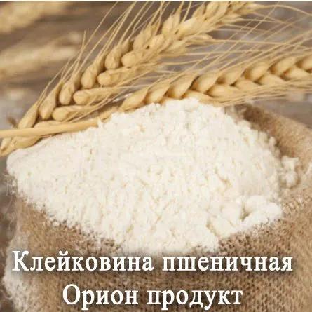 Фотография продукта Клейковина пшеничная (глютен)