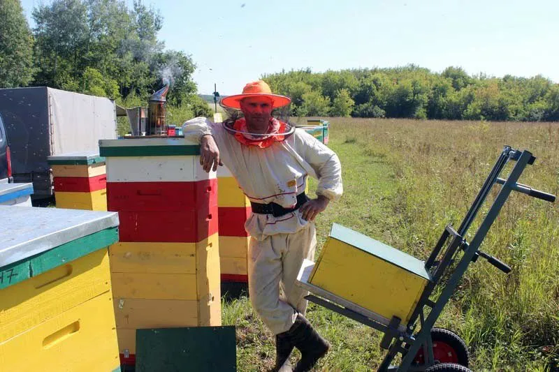 алтайский мед и продукты пчеловодства в Барнауле 6