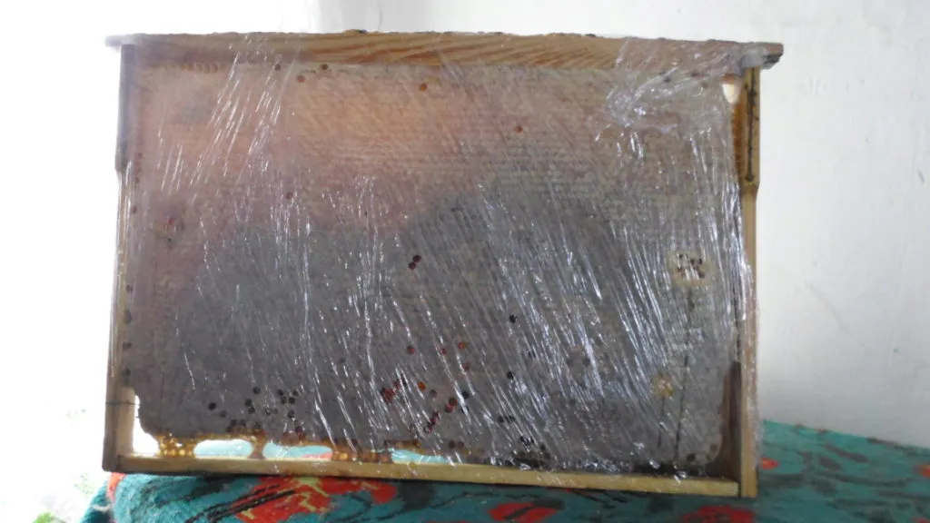 фотография продукта Алтайский мёд с пасеки. 100 руб. кг.