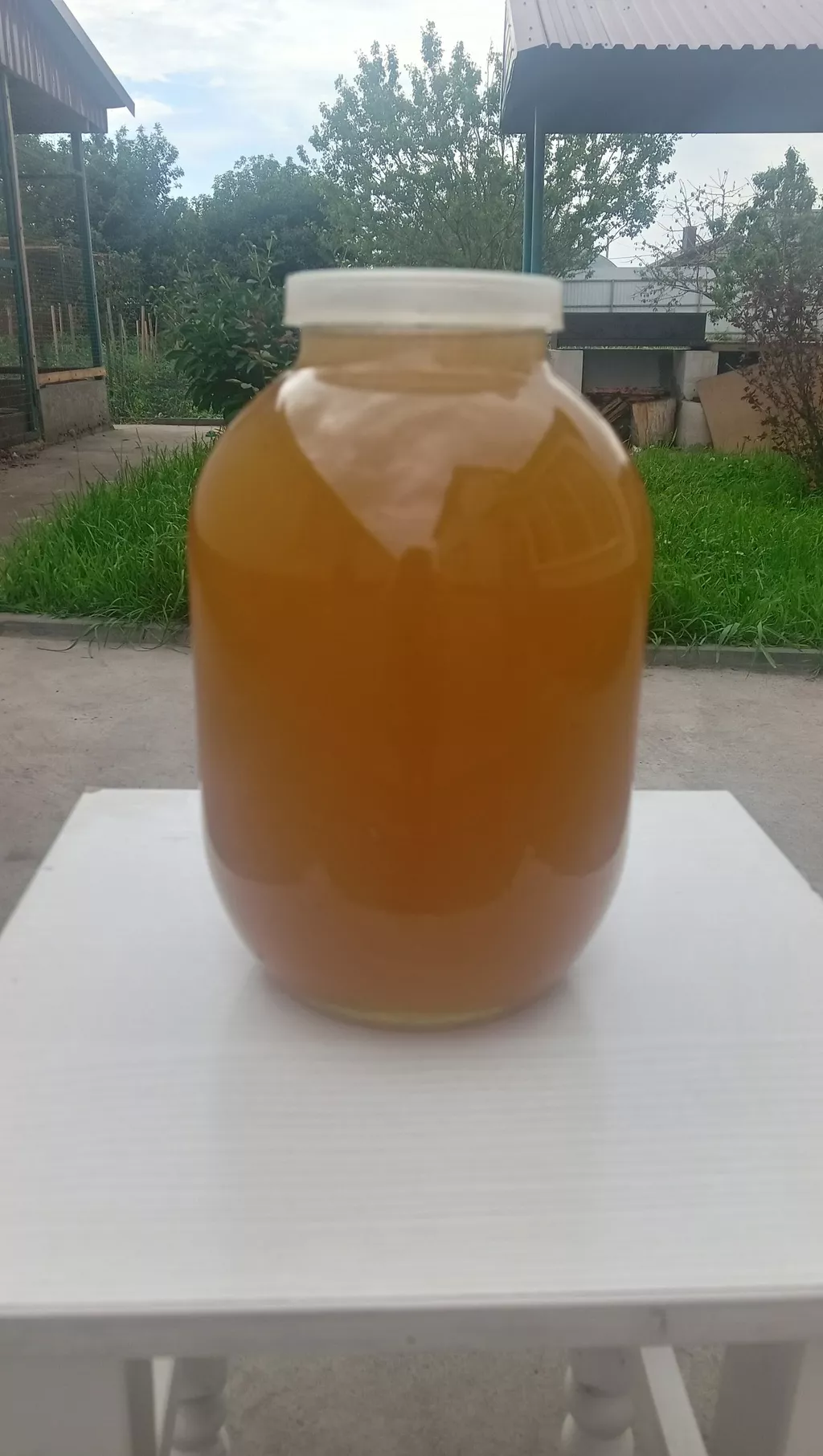 фотография продукта Майский мед 2024 года с личной пасеки