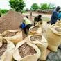 какао бобы (cocoa beans) в москве  в Москве 4