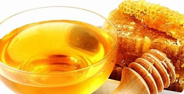 закупаем мед в Москве и Московской области