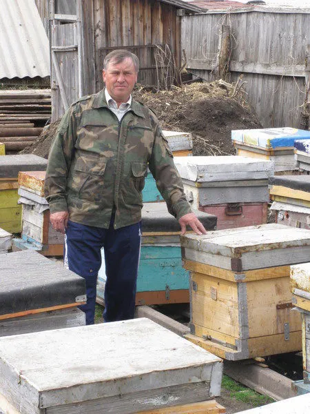 мед Много Качественно в Казахстане